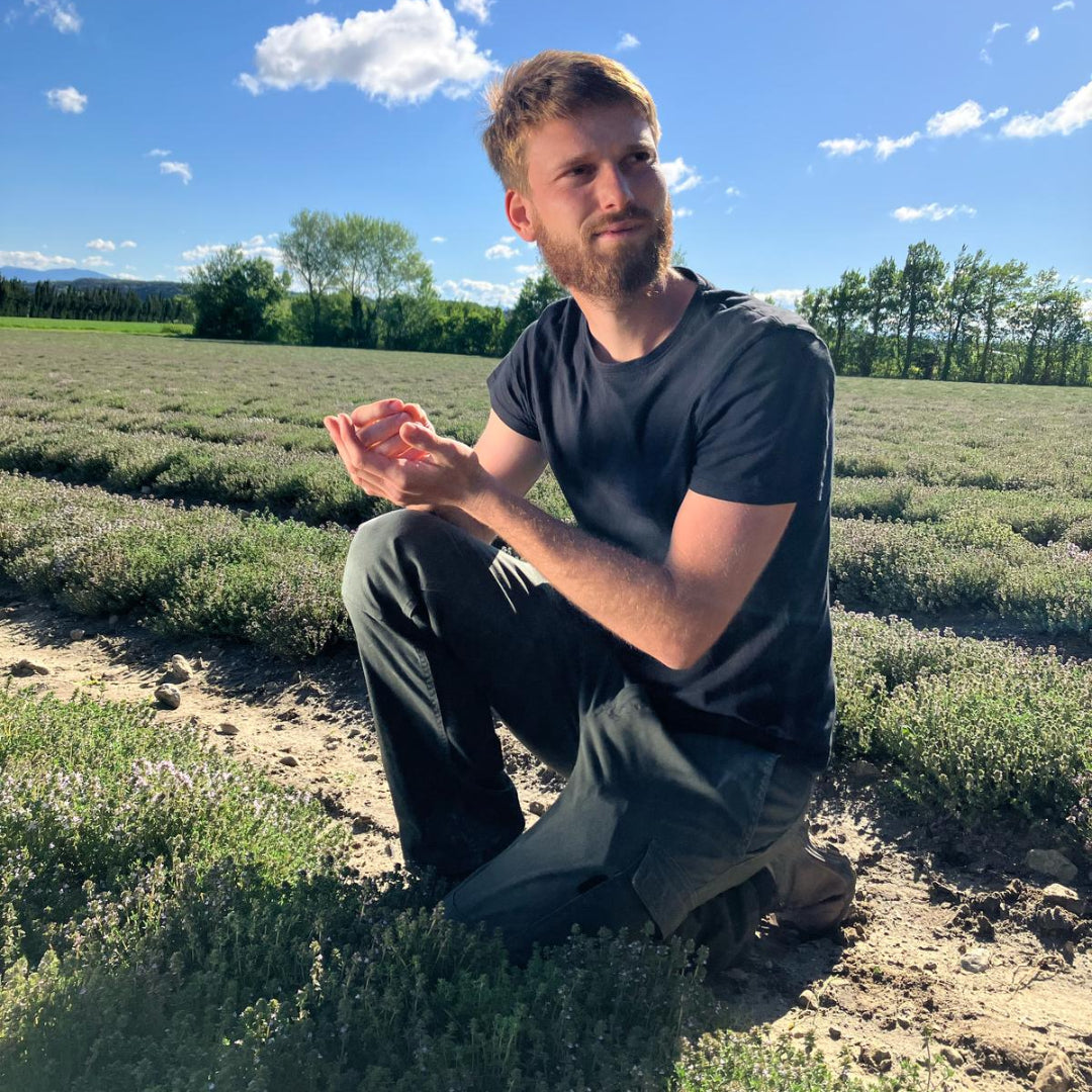 Farmer auf Feld Provence