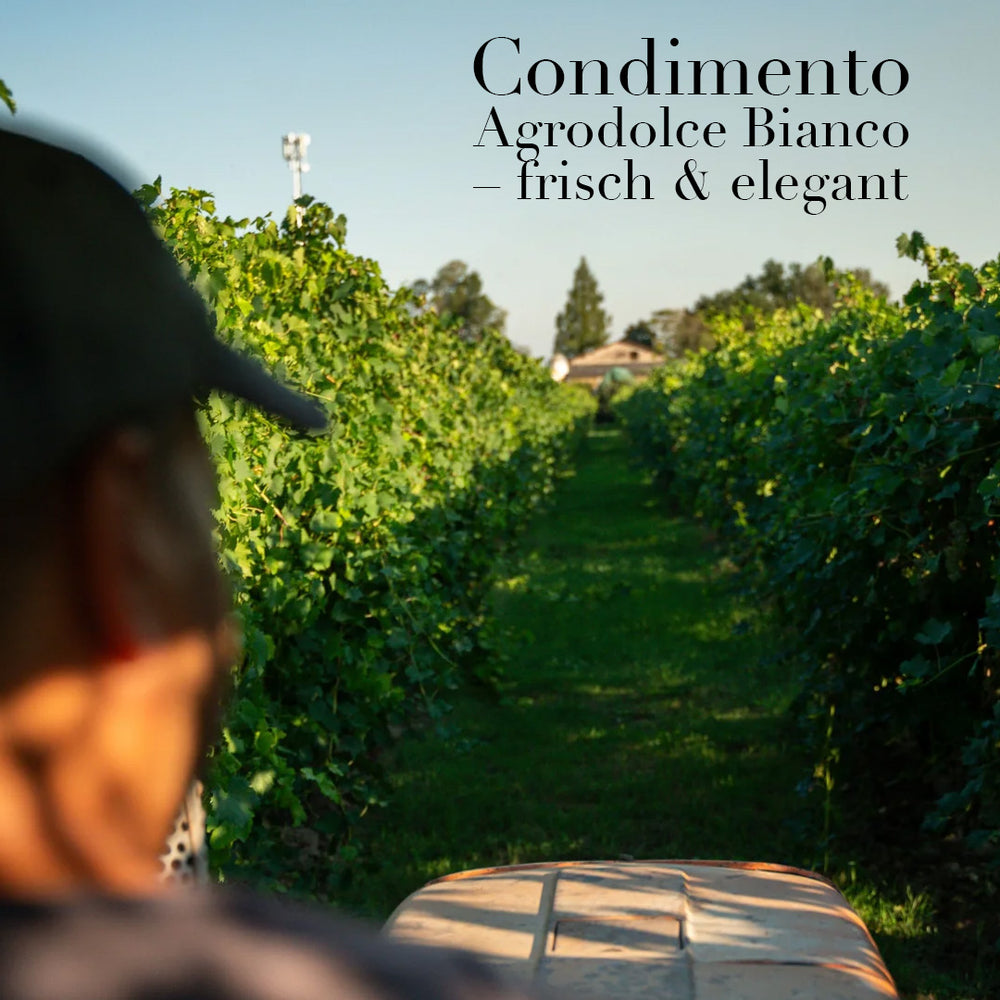 
                  
                    Condimento Agrodolce Bianco Essigzubereitung
                  
                